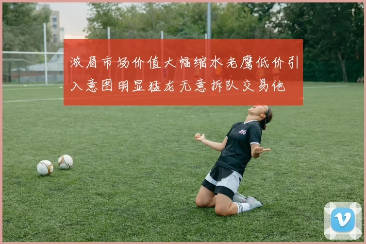浓眉市场价值大幅缩水老鹰低价引入意图明显猛龙无意拆队交易他