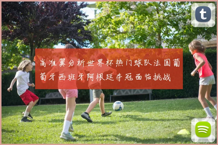 高准翼分析世界杯热门球队法国葡萄牙西班牙阿根廷夺冠面临挑战
